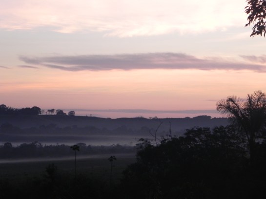 Unamas Enero 2011 074