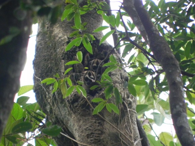 La Marly Enero 2012 192