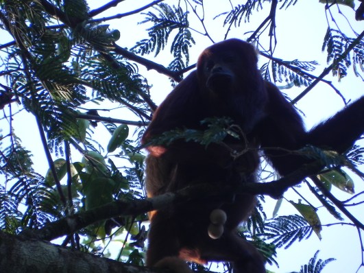 Unamas - SR Enero 2012 390