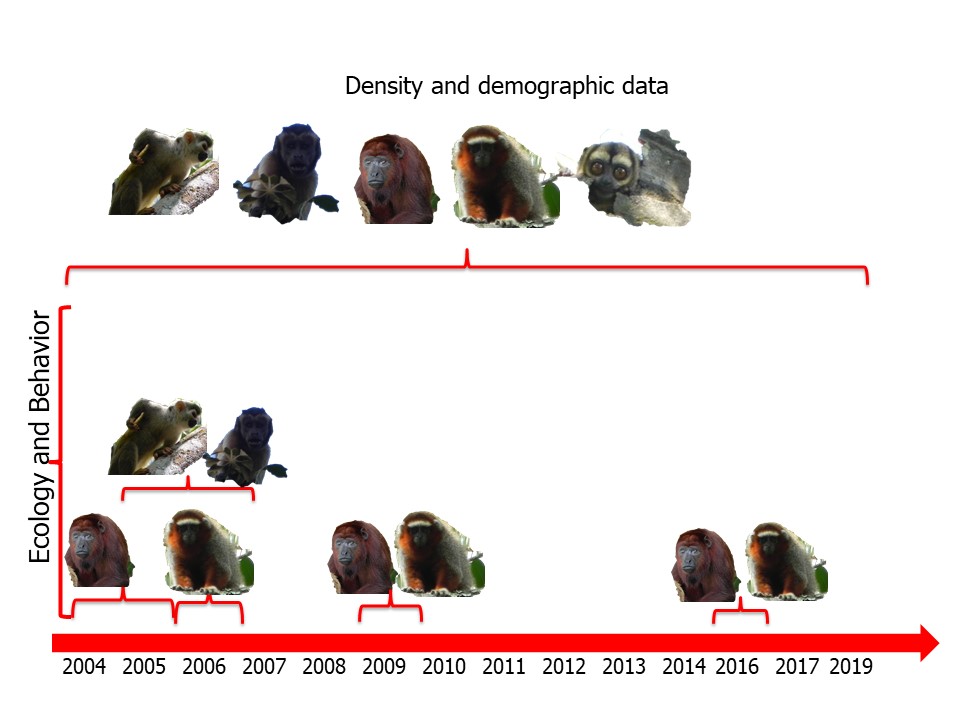 ZocayProyect Timeline3