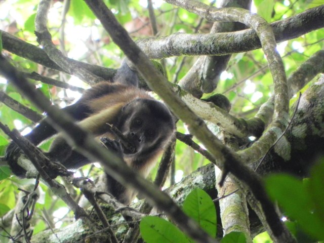 San Martín Abril - Mayo 2011 104 (2)
