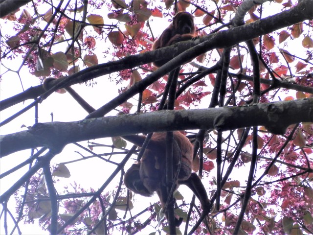 Unamas Agosto 2011 152 (2)