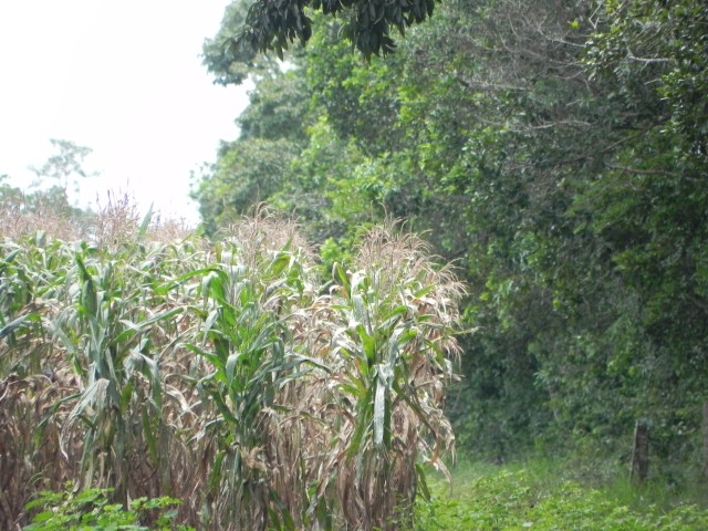 Unamas-San Camilo-Sept 2013 227