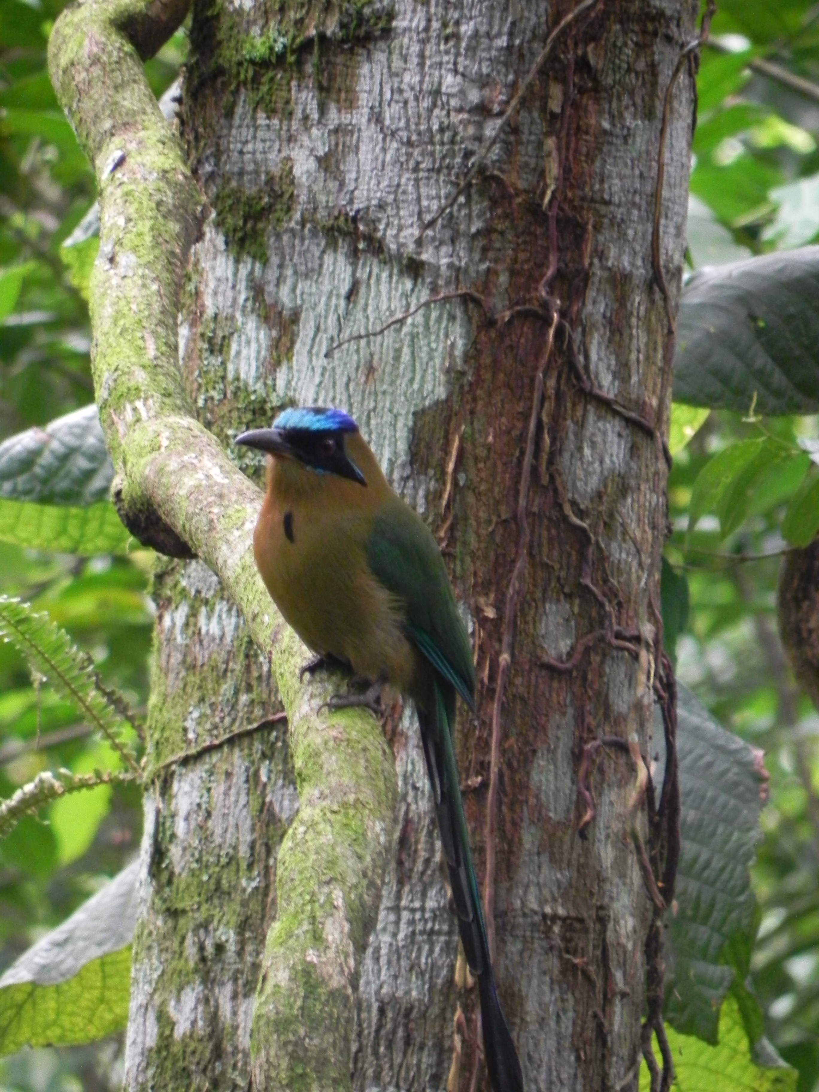 San Camilo- San Diego - San Marcos 068